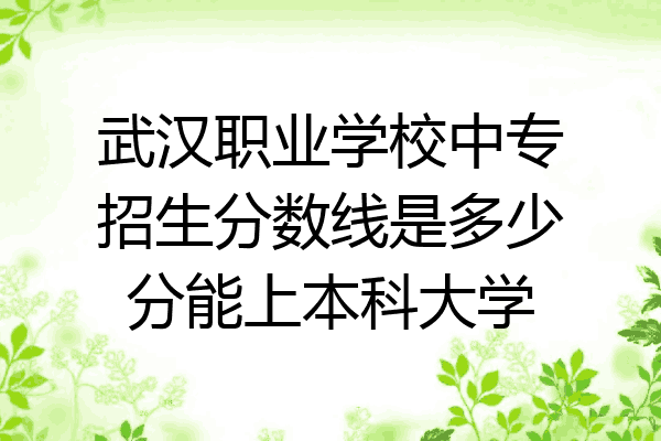 武汉职业学校中专招生分数线是多少分能上本科大学