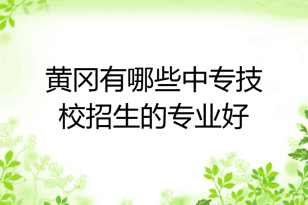 黄冈有哪些中专技校招生的专业好