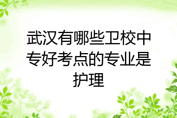武汉有哪些卫校中专好考点的专业是护理