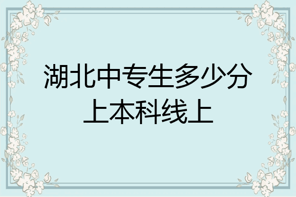 湖北中专生多少分上本科线上