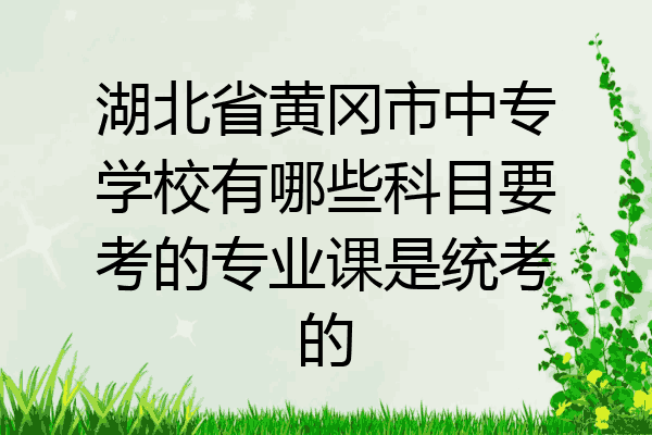 湖北省黄冈市中专学校有哪些科目要考的专业课是统考的