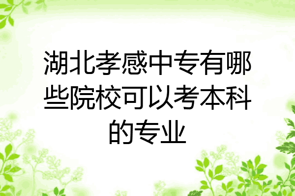 湖北孝感中专有哪些院校可以考本科的专业