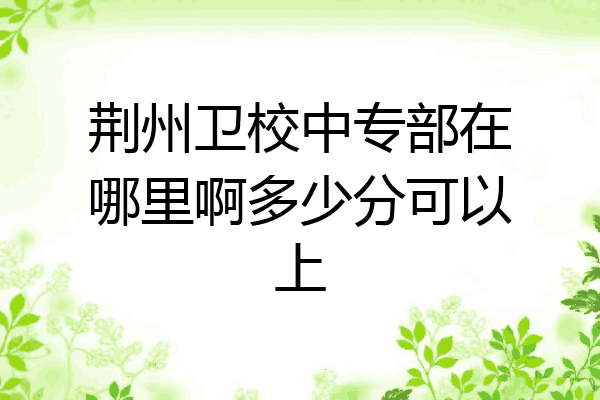 荆州卫校中专部在哪里啊多少分可以上