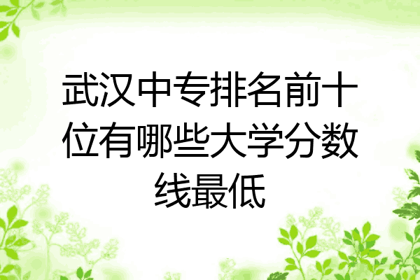 武汉中专排名前十位有哪些大学分数线最低