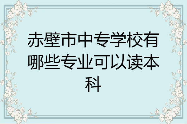 赤壁市中专学校有哪些专业可以读本科