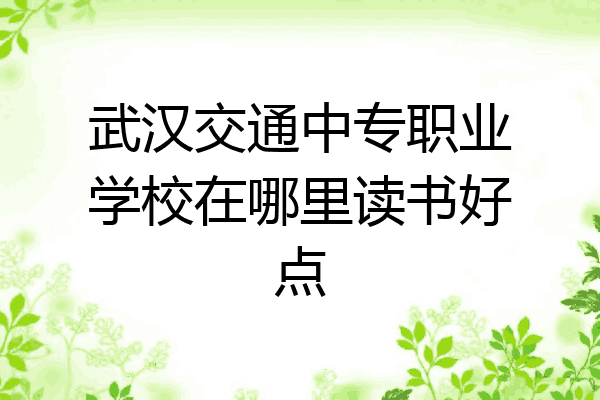 武汉交通中专职业学校在哪里读书好点