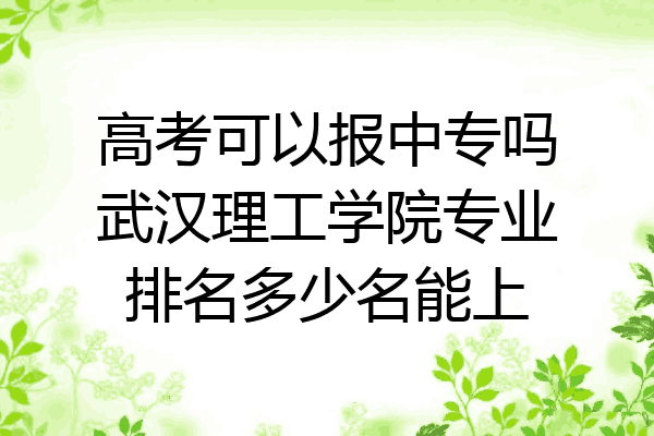 高考可以报中专吗武汉理工学院专业排名多少名能上
