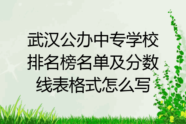 武汉公办中专学校排名榜名单及分数线表格式怎么写