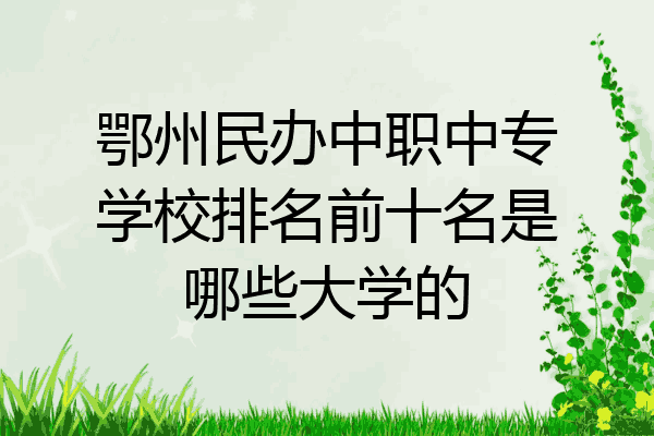 鄂州民办中职中专学校排名前十名是哪些大学的