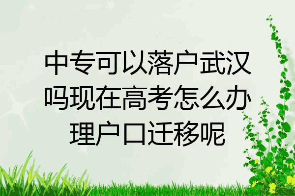 中专可以落户武汉吗现在高考怎么办理户口迁移呢