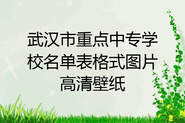 武汉市重点中专学校名单表格式图片高清壁纸