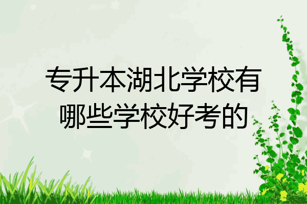 专升本湖北学校有哪些学校好考的