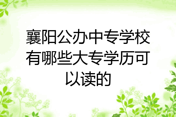 襄阳公办中专学校有哪些大专学历可以读的
