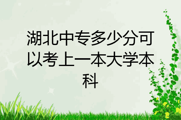 湖北中专多少分可以考上一本大学本科