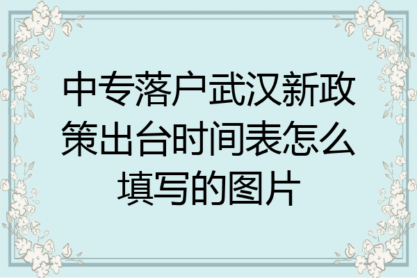 中专落户武汉新政策出台时间表怎么填写的图片