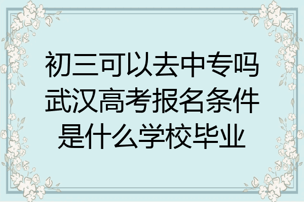 初三可以去中专吗武汉高考报名条件是什么学校毕业