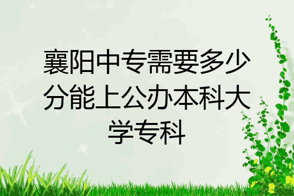 襄阳中专需要多少分能上公办本科大学专科