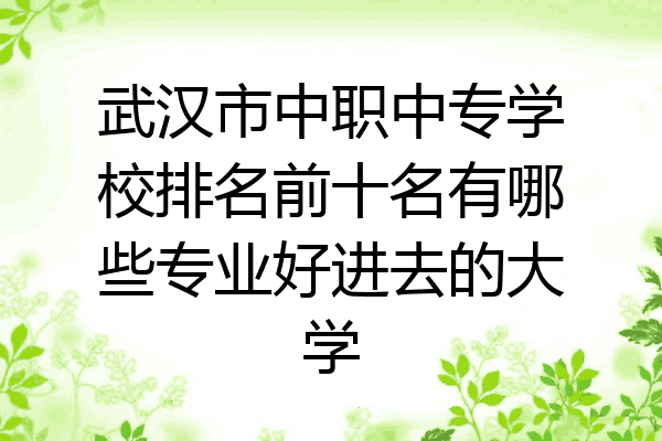武汉市中职中专学校排名前十名有哪些专业好进去的大学