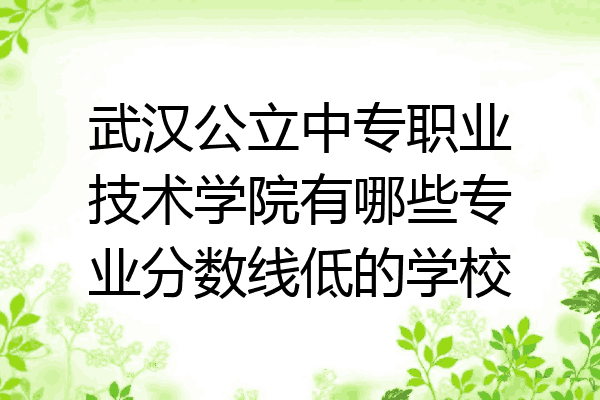 武汉公立中专职业技术学院有哪些专业分数线低的学校