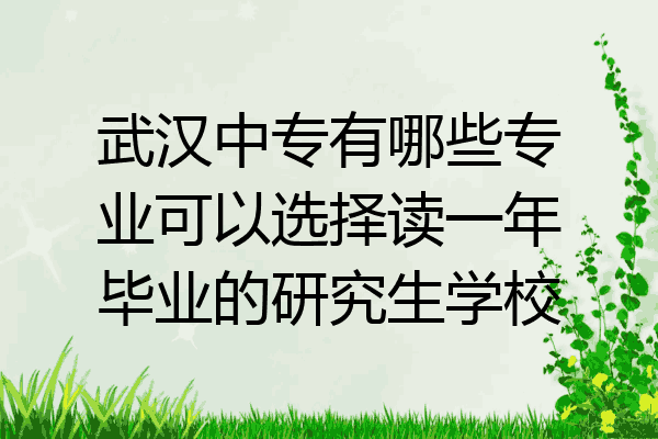 武汉中专有哪些专业可以选择读一年毕业的研究生学校
