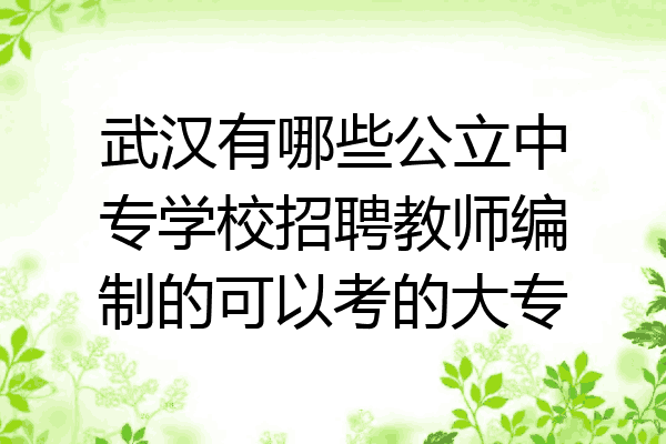武汉有哪些公立中专学校招聘教师编制的可以考的大专