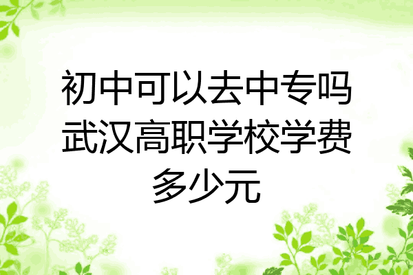 初中可以去中专吗武汉高职学校学费多少元