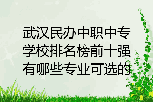武汉民办中职中专学校排名榜前十强有哪些专业可选的