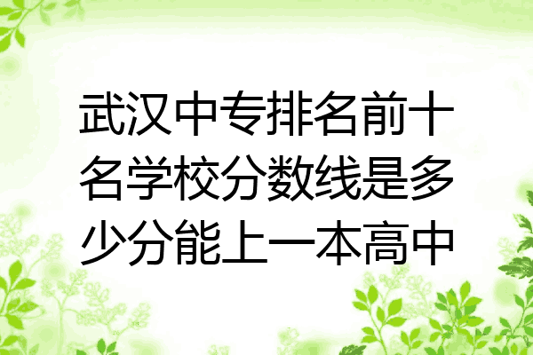 武汉中专排名前十名学校分数线是多少分能上一本高中