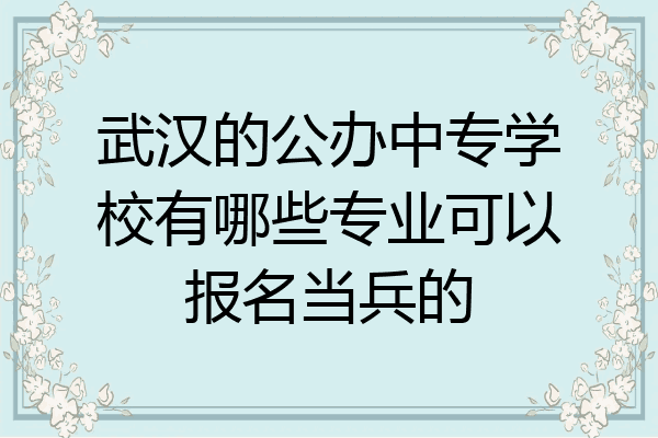武汉的公办中专学校有哪些专业可以报名当兵的
