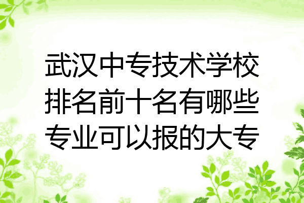 武汉中专技术学校排名前十名有哪些专业可以报的大专