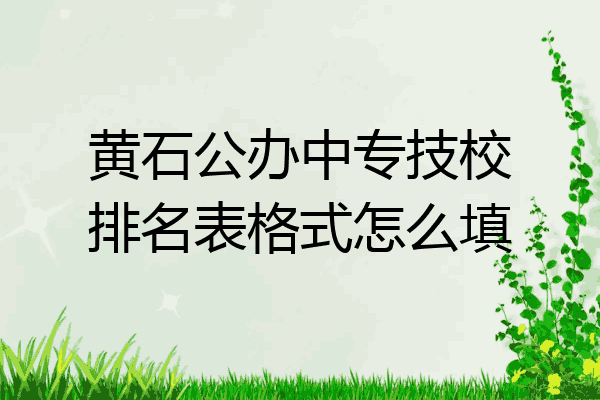 黄石公办中专技校排名表格式怎么填