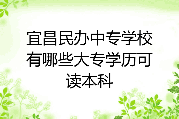 宜昌民办中专学校有哪些大专学历可读本科