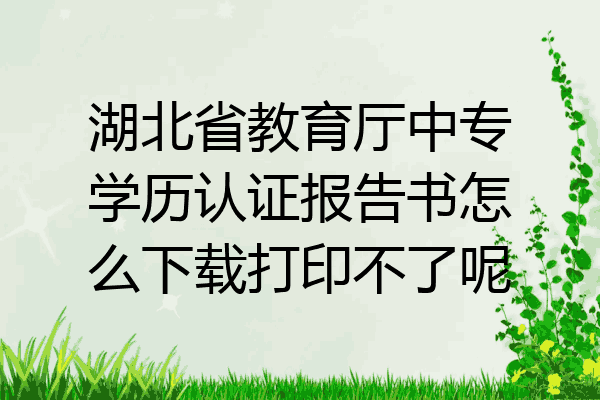 湖北省教育厅中专学历认证报告书怎么下载打印不了呢