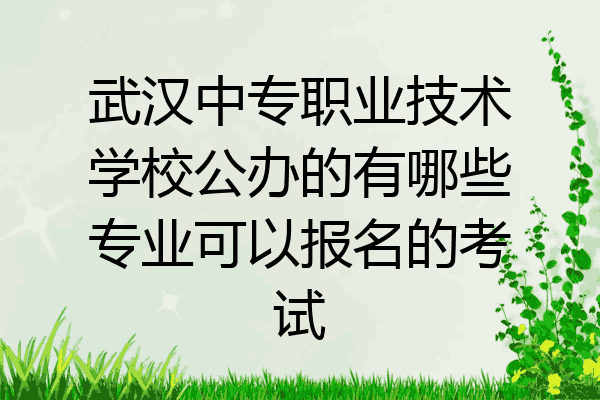 武汉中专职业技术学校公办的有哪些专业可以报名的考试