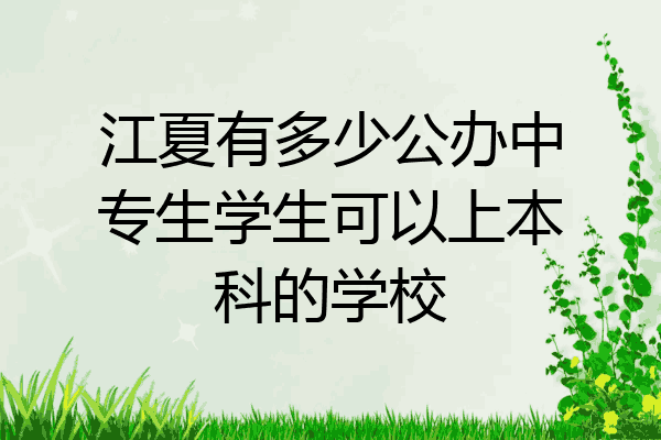 江夏有多少公办中专生学生可以上本科的学校