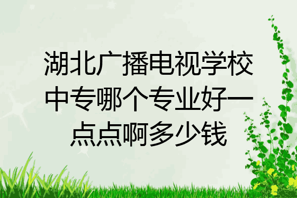 湖北广播电视学校中专哪个专业好一点点啊多少钱
