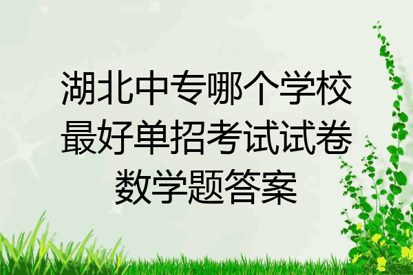 湖北中专哪个学校最好单招考试试卷数学题答案