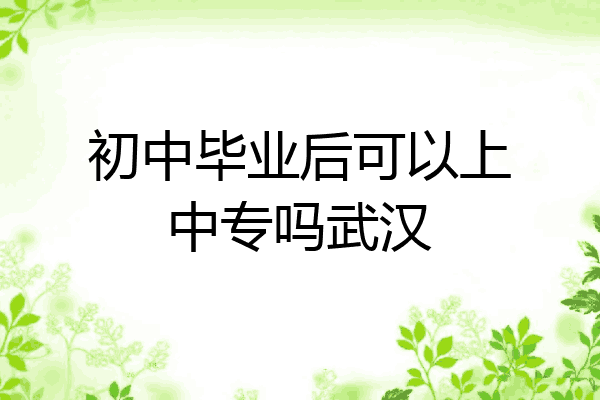 初中毕业后可以上中专吗武汉