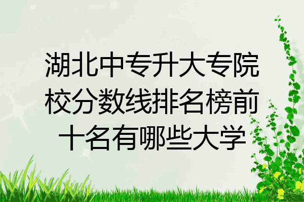 湖北中专升大专院校分数线排名榜前十名有哪些大学