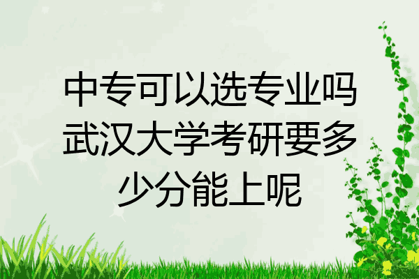 中专可以选专业吗武汉大学考研要多少分能上呢