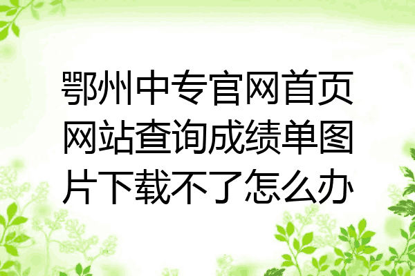 鄂州中专官网首页网站查询成绩单图片下载不了怎么办