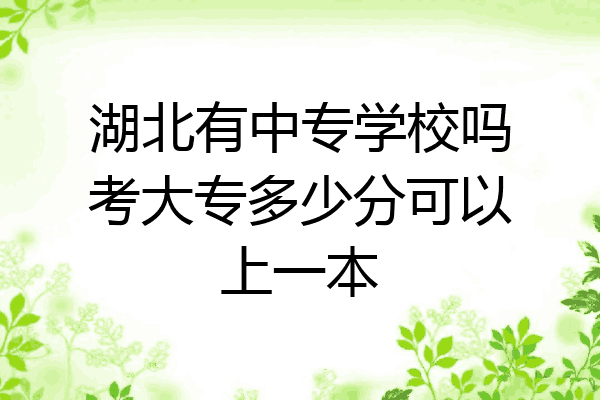 湖北有中专学校吗考大专多少分可以上一本