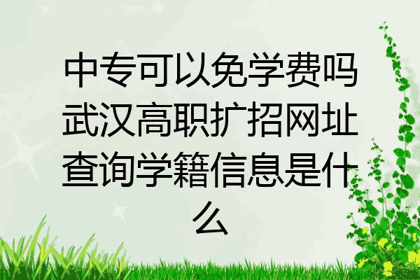 中专可以免学费吗武汉高职扩招网址查询学籍信息是什么