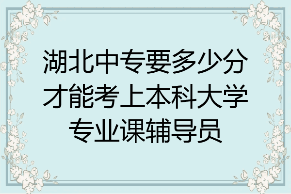湖北中专要多少分才能考上本科大学专业课辅导员
