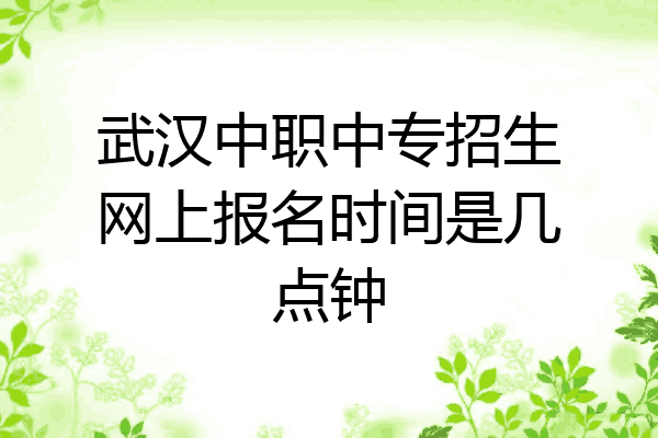 武汉中职中专招生网上报名时间是几点钟