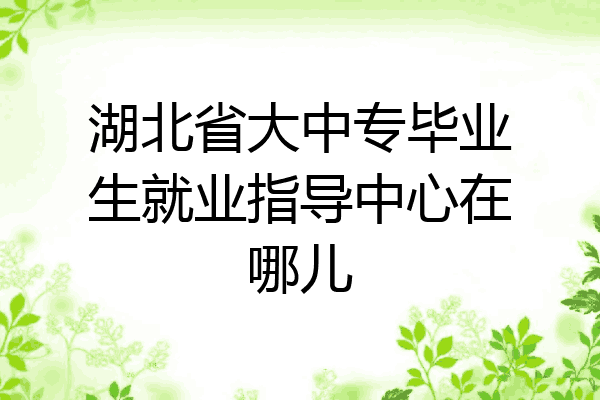 湖北省大中专毕业生就业指导中心在哪儿