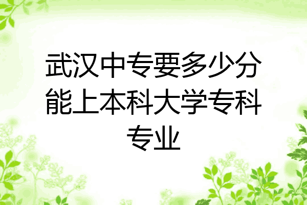 武汉中专要多少分能上本科大学专科专业
