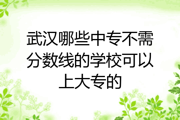 武汉哪些中专不需分数线的学校可以上大专的