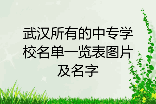 武汉所有的中专学校名单一览表图片及名字