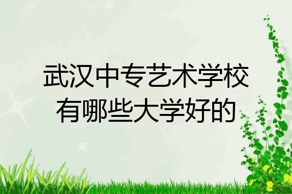 武汉中专艺术学校有哪些大学好的